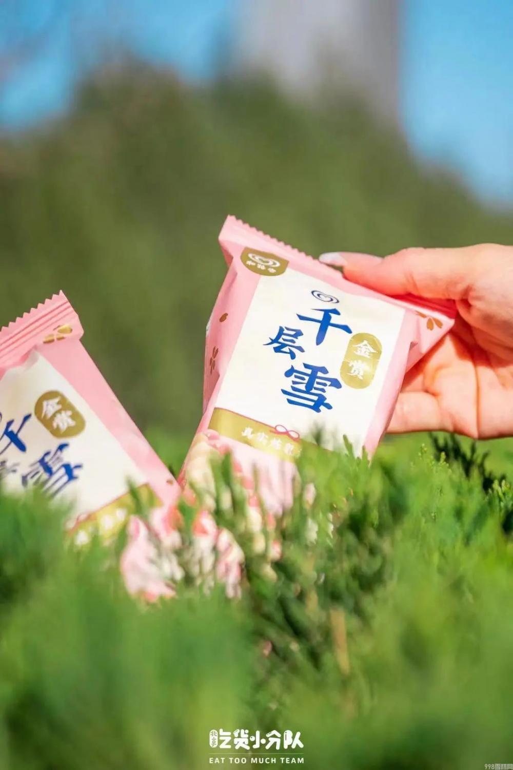 春天第一支冰淇淋，你吃的啥？(7)