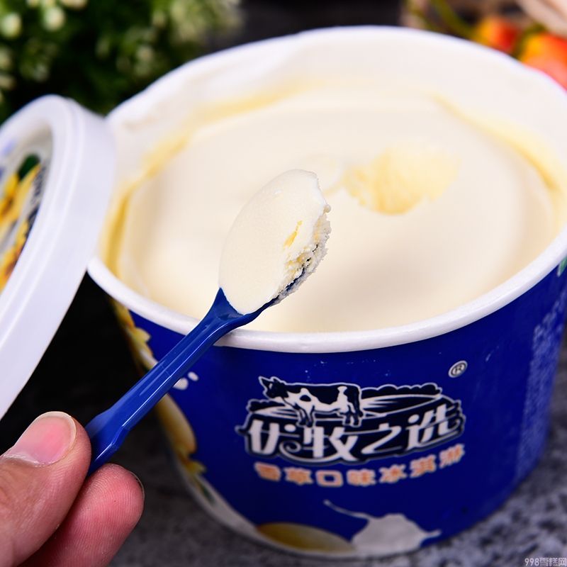 蒙牛雪糕价格及图片（聊聊蒙牛雪糕那些事）(5)