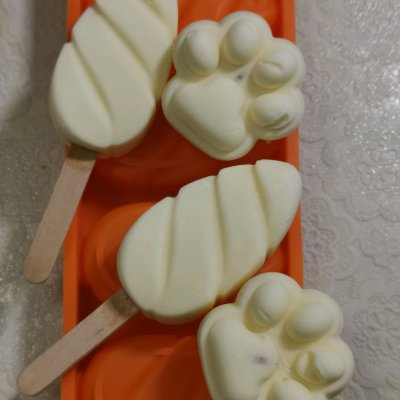 冰棒制作过程（在家就能做的酸奶冰棍方法分享）(6)