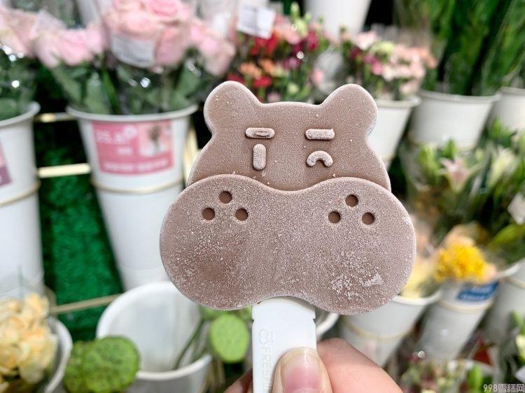 网上哪里买雪糕便宜（盒马推出自研平价老棒冰）(3)