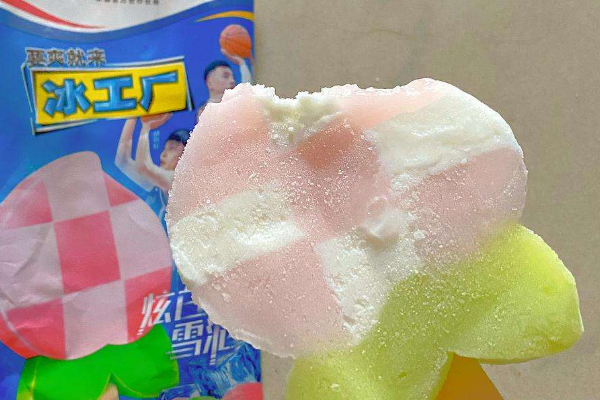 加盟冰工厂雪糕品牌需要多少资金（解析冰工厂雪糕加盟费用包括哪些）(1)