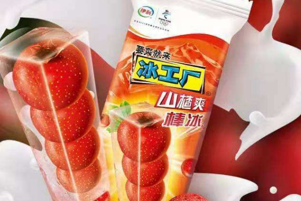加盟冰工厂雪糕品牌需要多少资金（解析冰工厂雪糕加盟费用包括哪些）(2)
