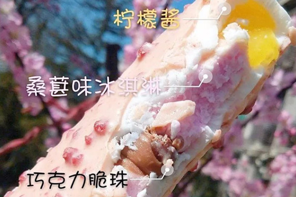 双黄蛋雪糕多少钱（解析双黄蛋雪糕好吃吗）(3)