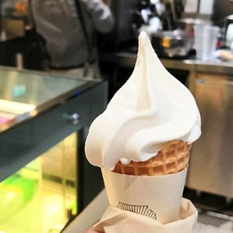 雪糕和冰淇淋到底有什么区别（解析雪糕和冰淇淋哪个更好吃）(5)