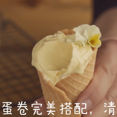 冰激凌怎么做好吃(分享香浓美味的香草冰激凌作法)(8) 冰激凌怎么做好吃(分享香浓美味的香草冰激凌作法)(8)