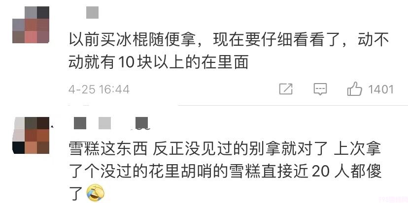 小布丁雪糕多少钱一只（当代雪糕的价格有多离谱）(6)
