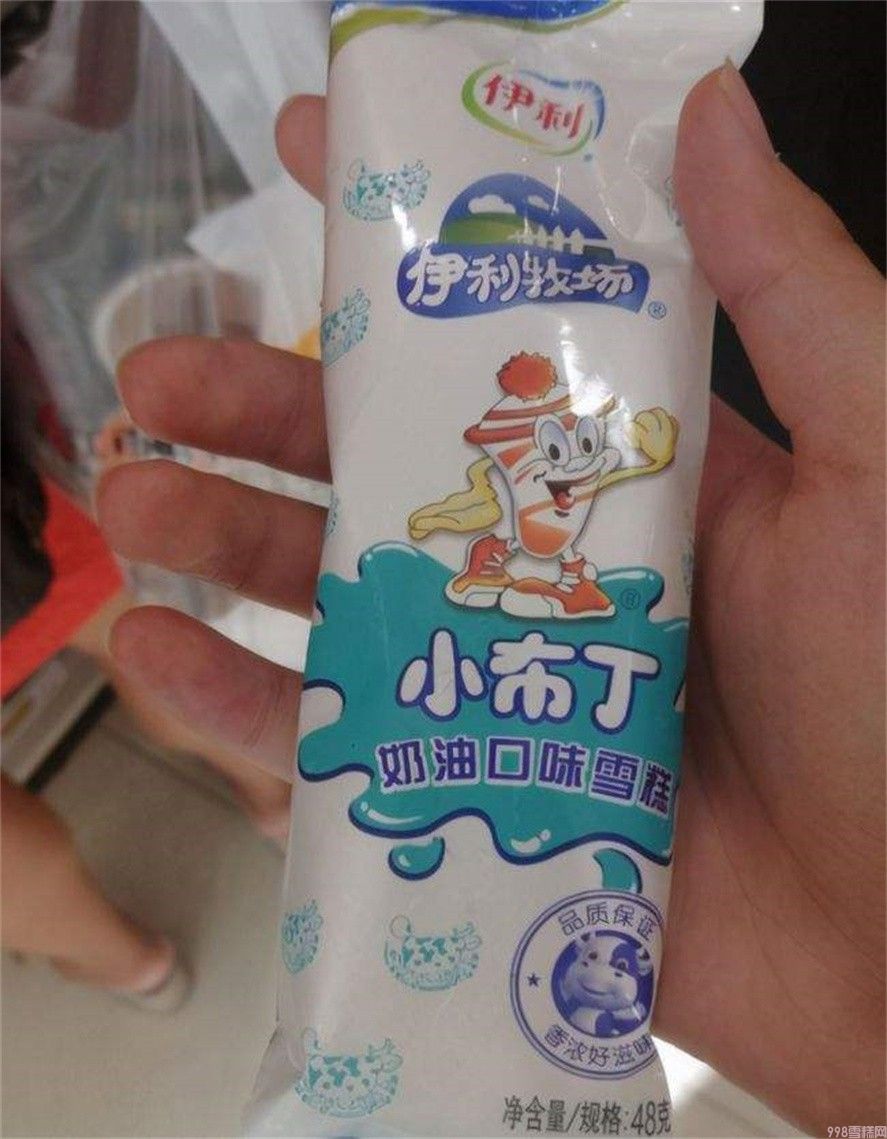 河南雪糕品牌都有哪些（讲解河南最好吃的六种雪糕）(8)