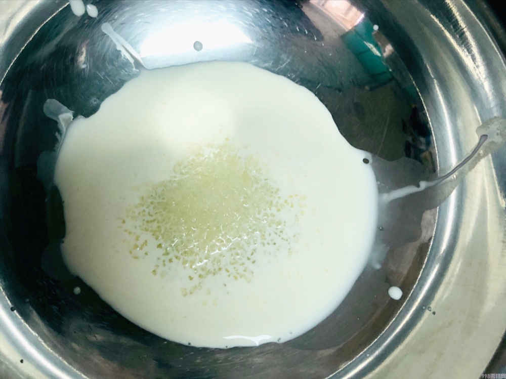 绿豆雪糕怎么做（教你在家做绿豆雪糕）(6)