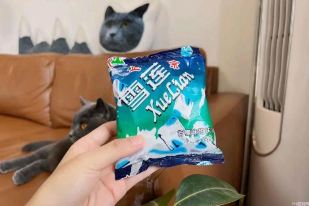 伊利牧场雪糕好吃不（10款好吃不贵的雪糕推荐）(5)