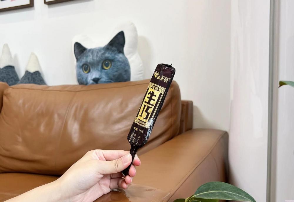 伊利牧场雪糕好吃不（10款好吃不贵的雪糕推荐）(13)