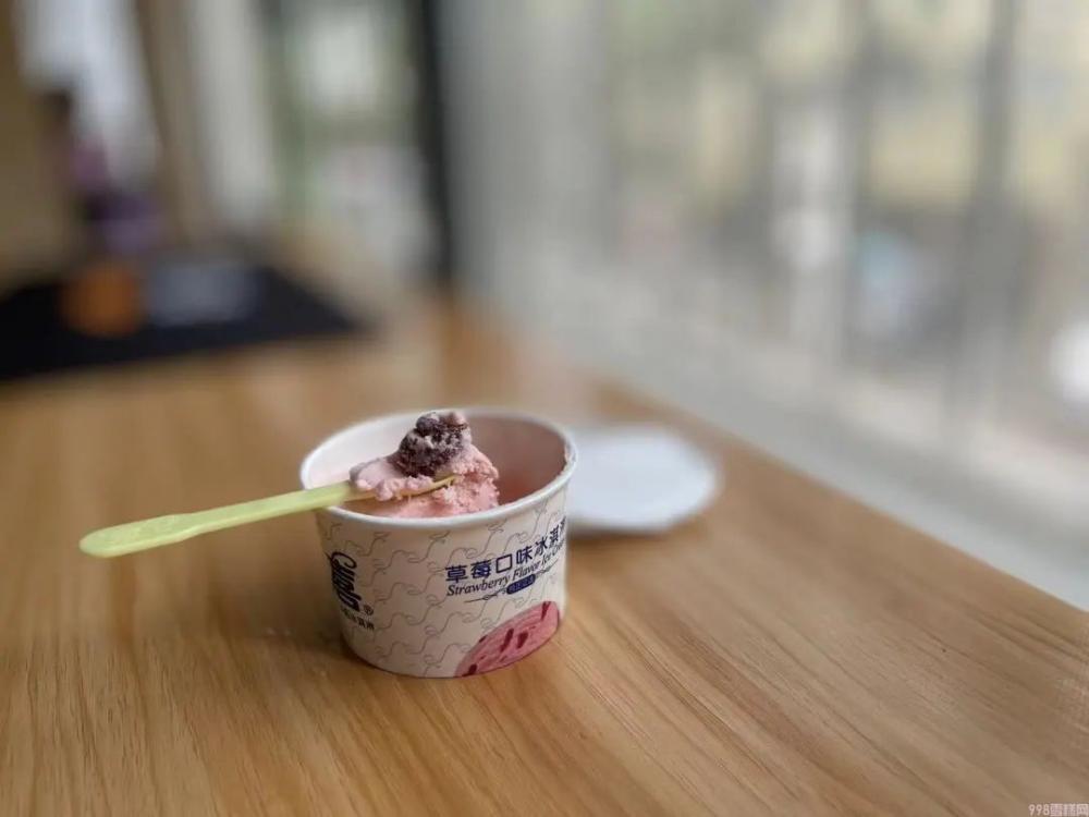 杨梅雪芭和椰椰雪糕哪个好吃(解释假期吃了20款雪糕)(图19) 杨梅雪芭和椰椰雪糕哪个好吃(分享假期吃了20款雪糕你喜欢那个)(19)