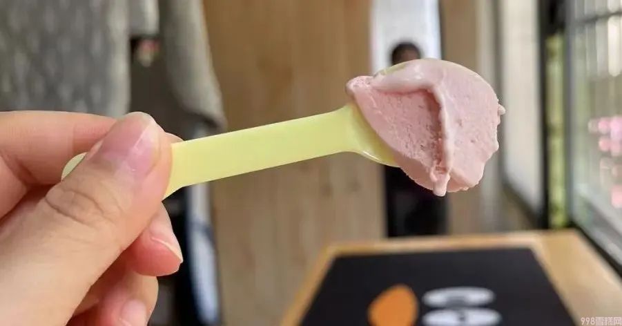 杨梅雪芭和椰椰雪糕哪个好吃(解释假期吃了20款雪糕)(图20) 杨梅雪芭和椰椰雪糕哪个好吃(分享假期吃了20款雪糕你喜欢那个)(20)