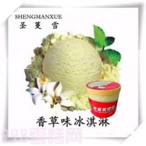 圣蔓雪餐饮桶装雪糕香草味冰淇淋4kg 8L