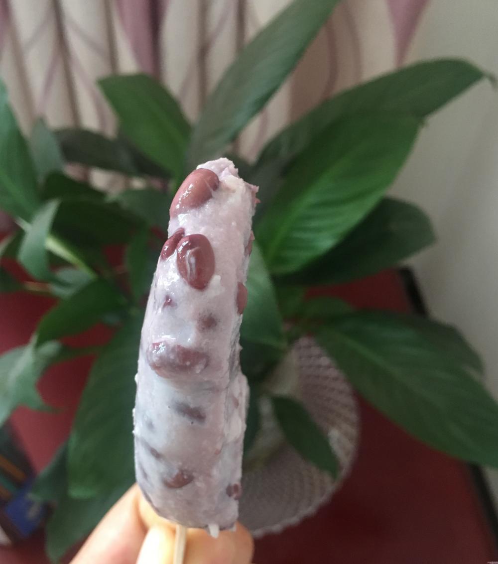 一瓶牛奶,一碗红豆,教你们做出美味鲜奶红豆冰棒(图10) 一瓶牛奶,一碗红豆,教你们做出美味鲜奶红豆冰棒(10)