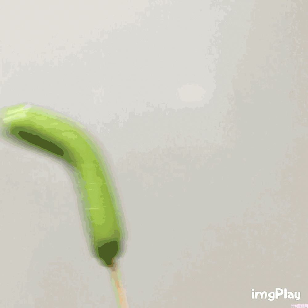 一支雪糕66元！在深圳，你敢“雪糕自由”吗？(16)