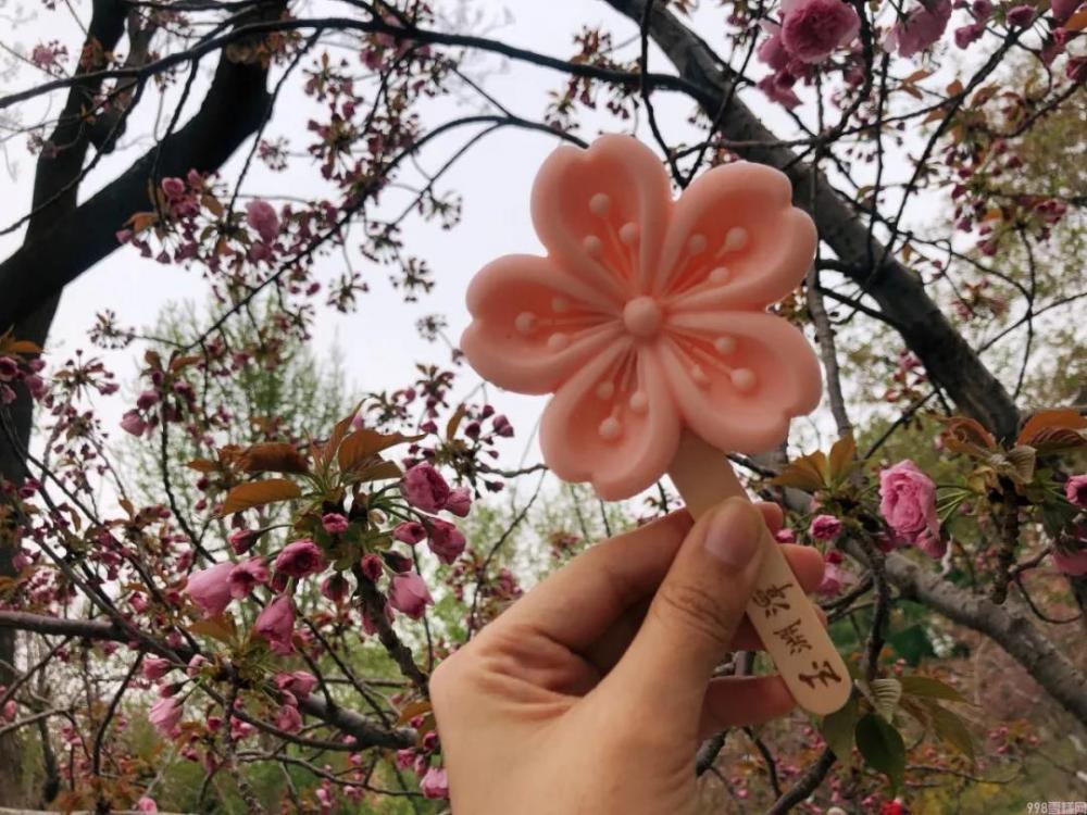 网红雪糕越贵越难吃,为什么现在雪糕这么贵(图1) 网红雪糕越贵越难吃,为什么现在雪糕这么贵(1)